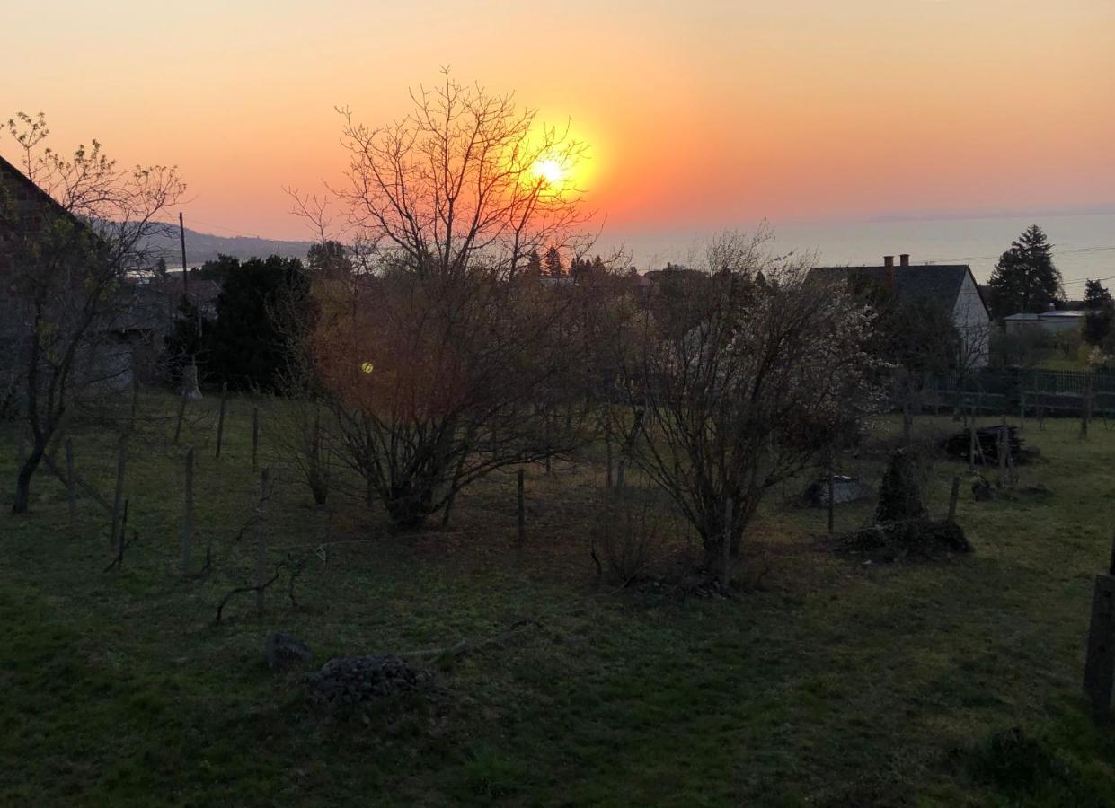 Omega Villa Badacsonytomaj Kültér fotó